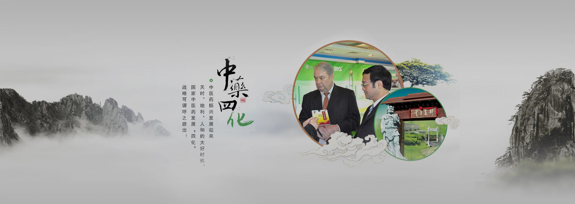 崇信建站-若一医药科技